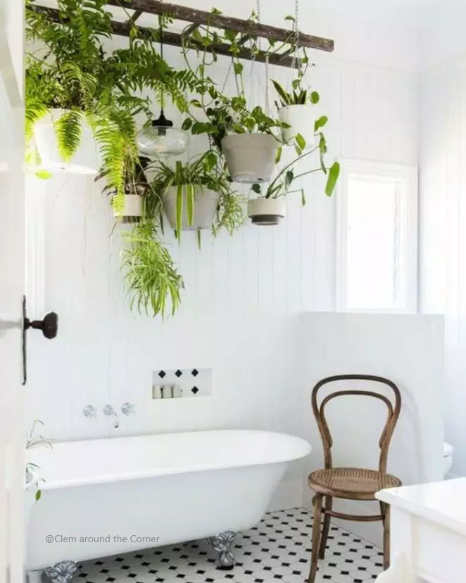 Des plantes vertes dans une salle de bain ?